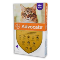Advocate Cat 0,8 ml 4-8 kg 3x