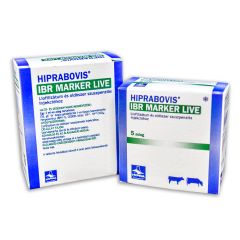 HIPRABOVIS IBR MARKER LIVE vakcina A.U.V. szarvasmarhák részére